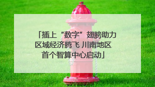 插上“数字”翅膀助力区域经济腾飞 川南地区首个智算中心启动