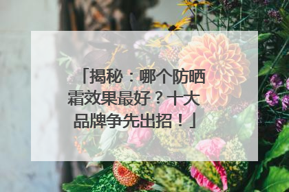 揭秘：哪个防晒霜效果最好？十大品牌争先出招！