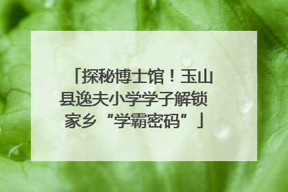探秘博士馆！玉山县逸夫小学学子解锁家乡“学霸密码”
