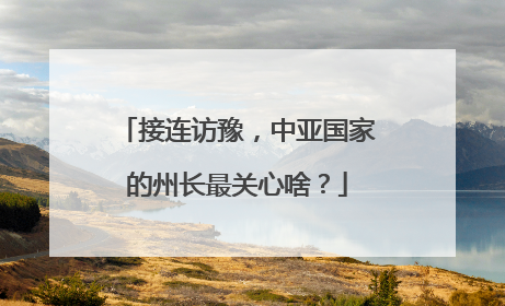 接连访豫，中亚国家的州长最关心啥？