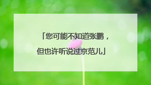 您可能不知道张鹏，但也许听说过京范儿