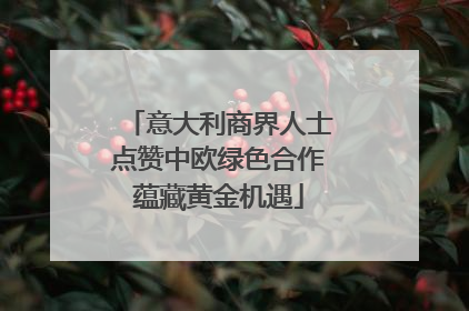 意大利商界人士点赞中欧绿色合作蕴藏黄金机遇