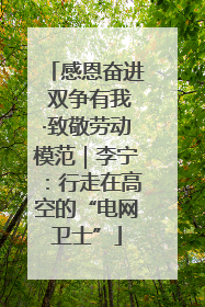 感恩奋进 双争有我·致敬劳动模范｜李宁：行走在高空的“电网卫士”