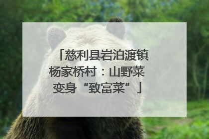 慈利县岩泊渡镇杨家桥村：山野菜变身“致富菜”