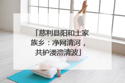 慈利县阳和土家族乡：净网清河，共护溇澧清波