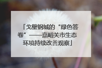 戈壁钢城的“绿色答卷”——嘉峪关市生态环境持续改善观察