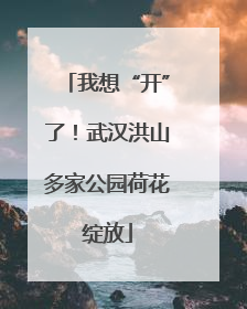 我想“开”了！武汉洪山多家公园荷花绽放