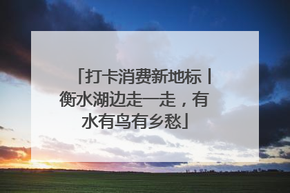 打卡消费新地标丨衡水湖边走一走，有水有鸟有乡愁