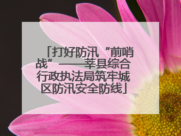 打好防汛“前哨战”——莘县综合行政执法局筑牢城区防汛安全防线