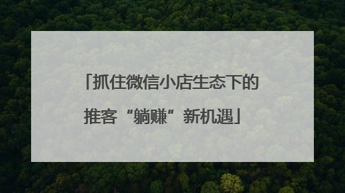 抓住微信小店生态下的推客“躺赚”新机遇