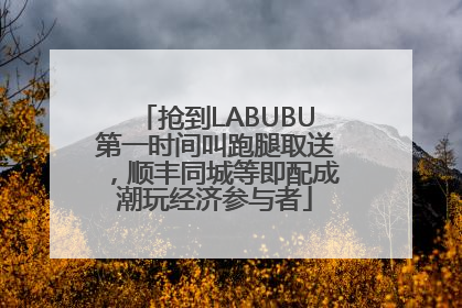 抢到LABUBU第一时间叫跑腿取送，顺丰同城等即配成潮玩经济参与者
