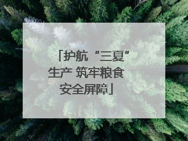 护航“三夏”生产 筑牢粮食安全屏障