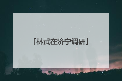 林武在济宁调研