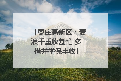 枣庄高新区：麦浪千重收割忙 多措并举保丰收