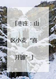 枣庄：山区小麦“喜开镰”