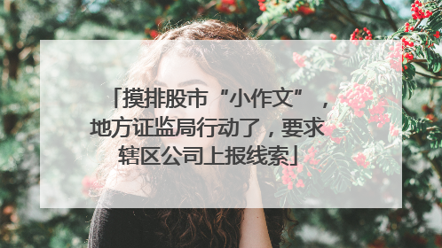 摸排股市“小作文”，地方证监局行动了，要求辖区公司上报线索