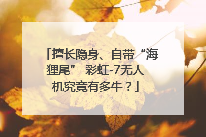 擅长隐身、自带“海狸尾” 彩虹-7无人机究竟有多牛？