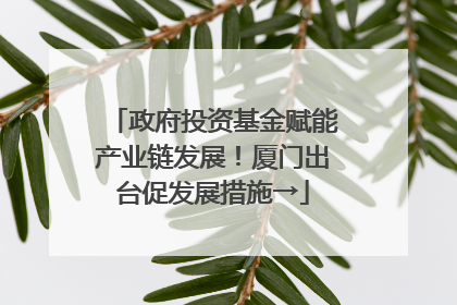 政府投资基金赋能产业链发展！厦门出台促发展措施→