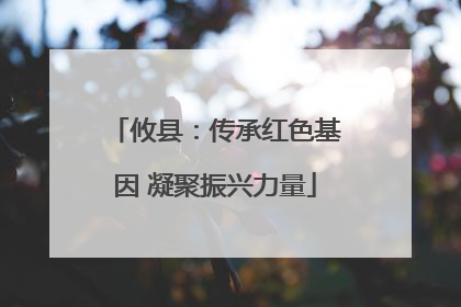 攸县：传承红色基因 凝聚振兴力量