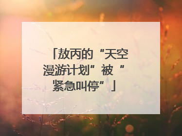 敖丙的“天空漫游计划”被“紧急叫停”