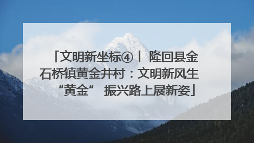 文明新坐标④丨 隆回县金石桥镇黄金井村：文明新风生“黄金” 振兴路上展新姿