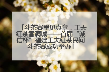 斗茶赛里见真章，工夫红茶香满城——首届“诚信杯”福建工夫红茶民间斗茶赛成功举办