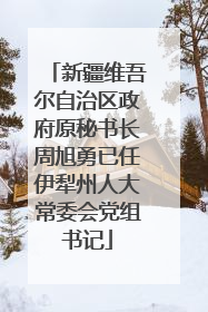 新疆维吾尔自治区政府原秘书长周旭勇已任伊犁州人大常委会党组书记