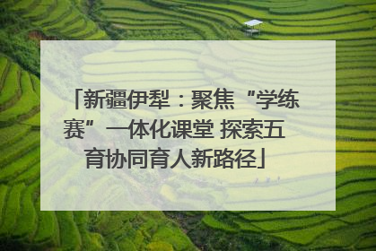 新疆伊犁：聚焦“学练赛”一体化课堂 探索五育协同育人新路径