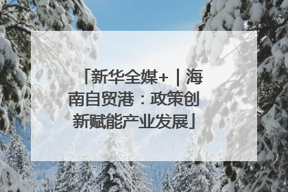 新华全媒+｜海南自贸港：政策创新赋能产业发展