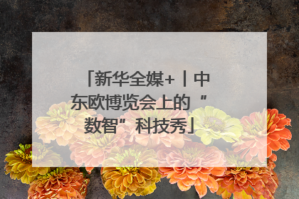 新华全媒+丨中东欧博览会上的“数智”科技秀