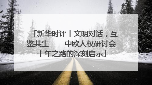 新华时评丨文明对话，互鉴共生——中欧人权研讨会十年之路的深刻启示