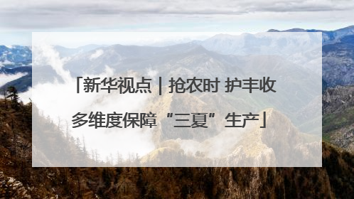 新华视点｜抢农时 护丰收 多维度保障“三夏”生产