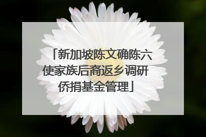 新加坡陈文确陈六使家族后裔返乡调研侨捐基金管理