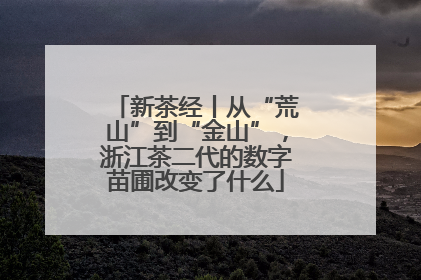 新茶经丨从“荒山”到“金山”，浙江茶二代的数字苗圃改变了什么