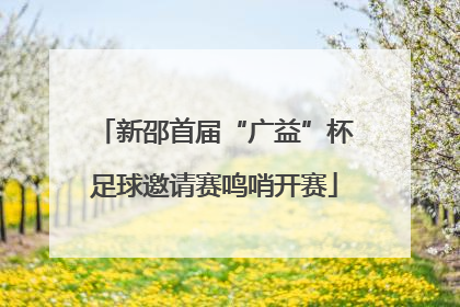 新邵首届“广益”杯足球邀请赛鸣哨开赛