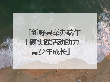 新野县举办端午主题实践活动助力青少年成长