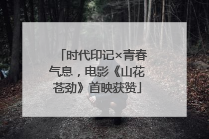 时代印记×青春气息，电影《山花苍劲》首映获赞
