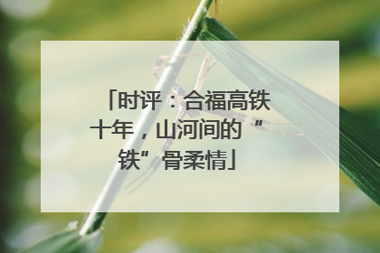 时评：合福高铁十年，山河间的“铁”骨柔情
