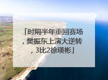 时隔半年重回赛场，樊振东上演大逆转，3比2徐瑛彬