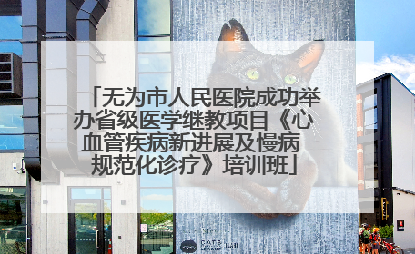无为市人民医院成功举办省级医学继教项目《心血管疾病新进展及慢病 规范化诊疗》培训班