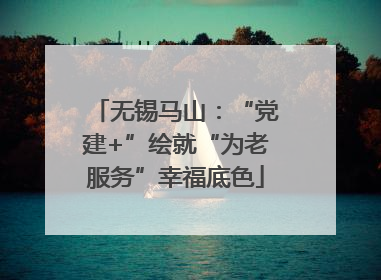 无锡马山：“党建+”绘就“为老服务”幸福底色