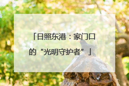 日照东港：家门口的“光明守护者”