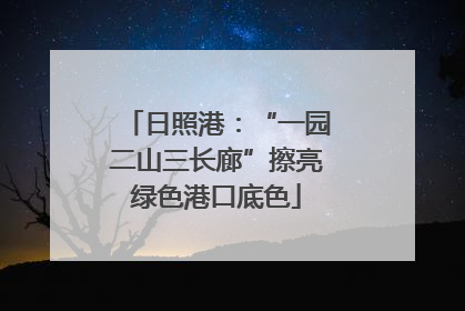 日照港：“一园二山三长廊”擦亮绿色港口底色