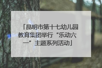 昆明市第十七幼儿园教育集团举行“乐动六一”主题系列活动