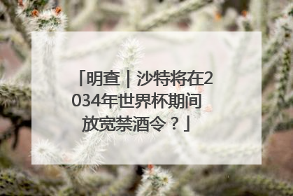 明查｜沙特将在2034年世界杯期间放宽禁酒令？