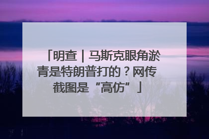 明查｜马斯克眼角淤青是特朗普打的？网传截图是“高仿”