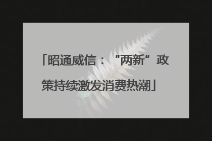 昭通威信：“两新”政策持续激发消费热潮