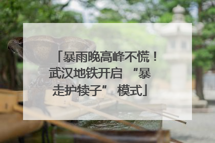 暴雨晚高峰不慌！武汉地铁开启 “暴走护犊子” 模式