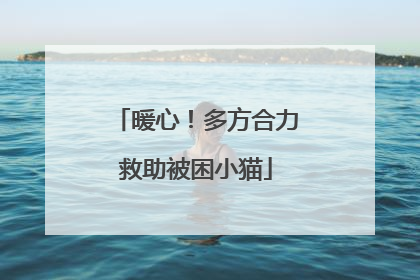 暖心！多方合力救助被困小猫