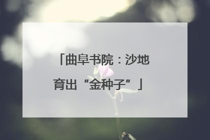 曲阜书院：沙地育出“金种子”